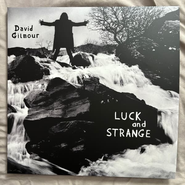 David Gilmour - Luck And Strange