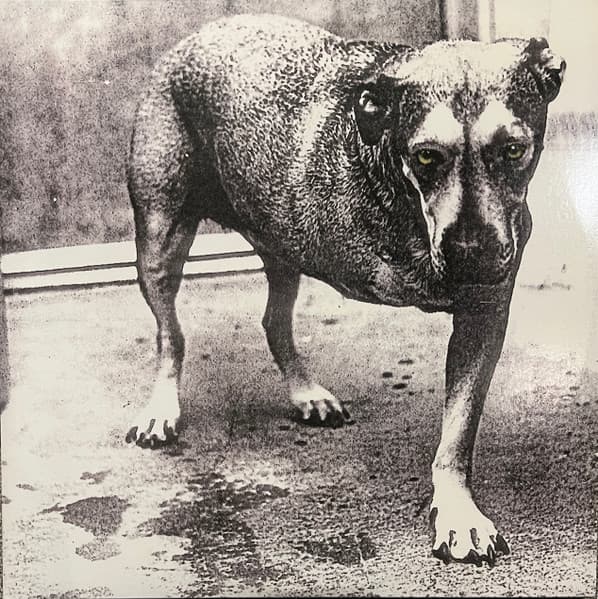 Alice In Chains - Alice In Chains