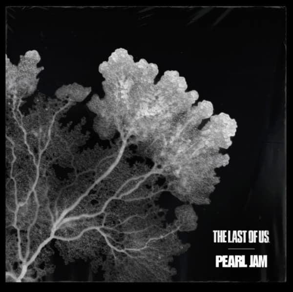 Pearl Jam - The Last Of Us